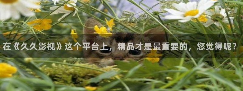 飘零影院最新电影