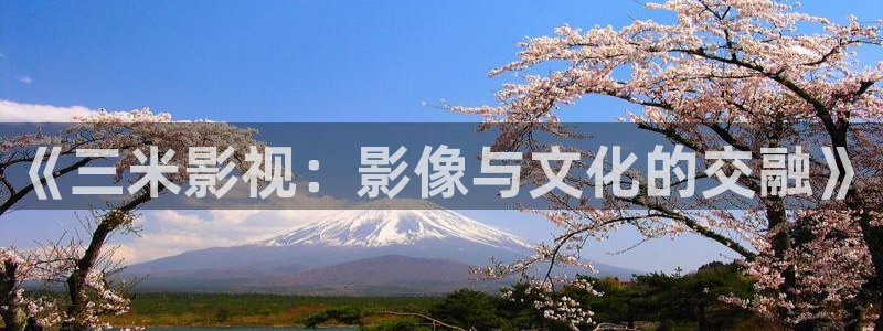 飘零影院网