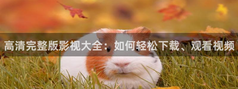飘零影院