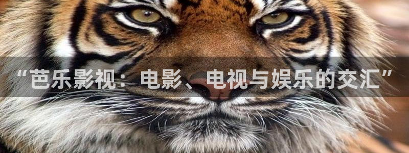 飘零电影网