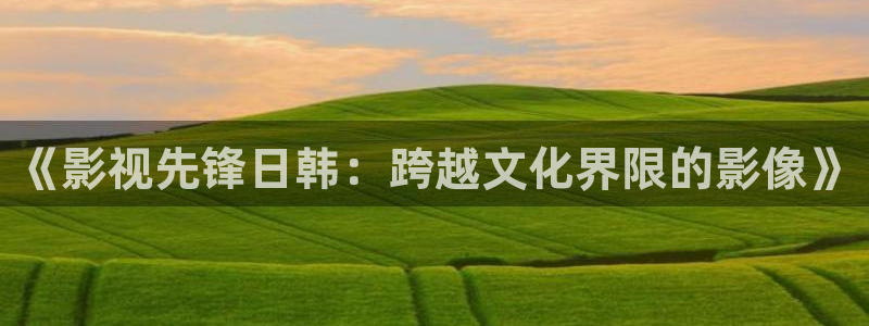 飘零电影在线：《影视先锋日韩：跨越文化界限的影像》