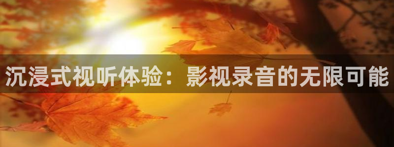 飘零电影韩国免费观看