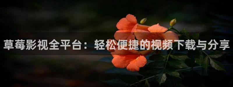 飘零影院电影天堂
